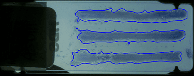 Raven - Whole Slide Imager Raven - Whole Slide Imager